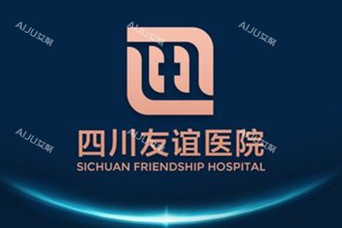 成都友谊整形医院LOGO示意图