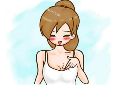 胸部动画展示图