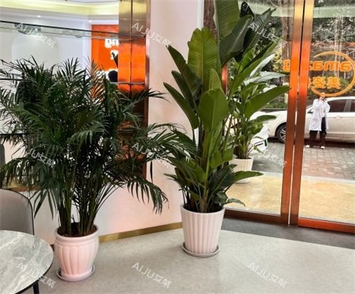 重庆美姿植发大厅图片