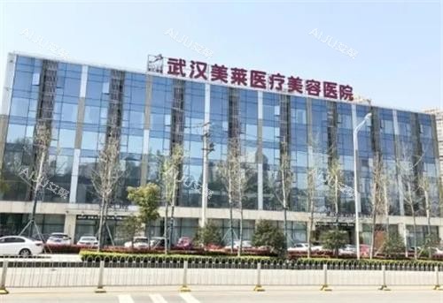 武汉美莱整形门头