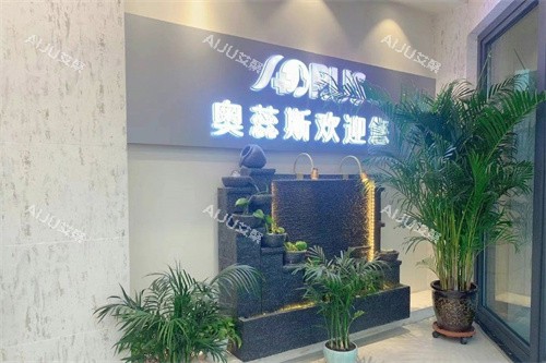库尔勒奥蕊斯整形大门