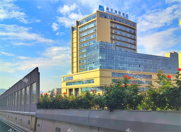 温州和平国 际医疗美容医院门头外景示意图