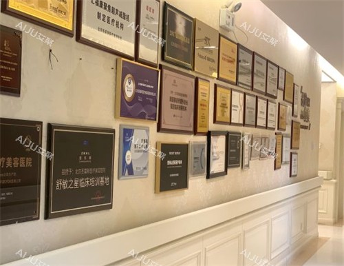北京圣嘉新医疗美容荣誉墙环境图