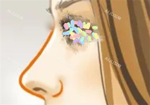 鼻部侧面曲线展示图