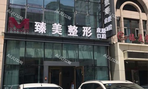 哈尔滨臻美医疗美容门头图