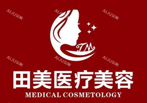 赣州田美医疗美容LOGO示意图
