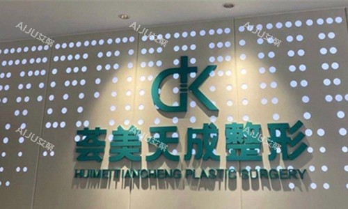 厦门荟美天成整形logo图