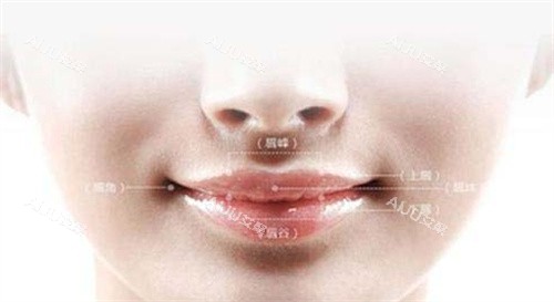 人中窝卡通图