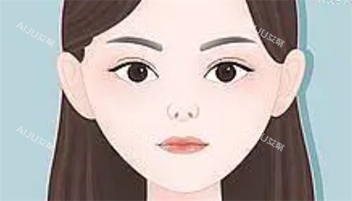 朝天鼻正面动画展示图