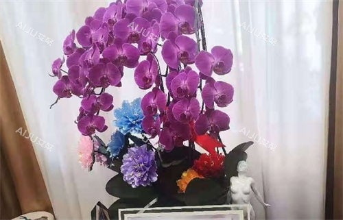 上海虹桥医院私密科大厅陈设