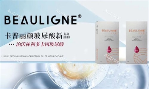 泊沃林玻尿酸简介