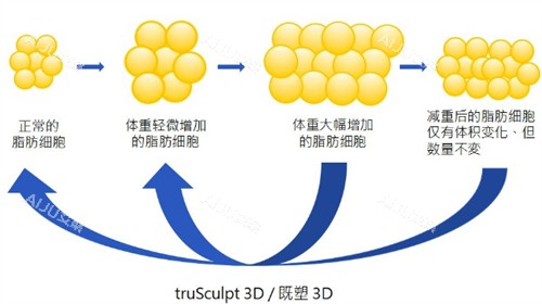 美国既塑3D溶脂原理