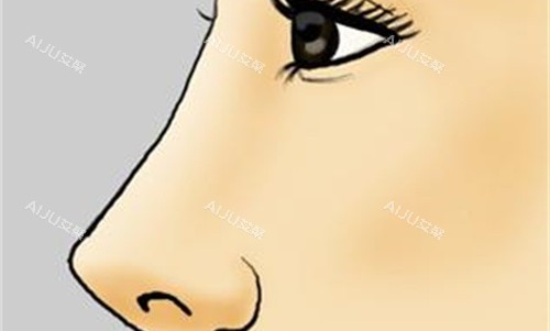 广州罗延平鼻子高鼻梁卡通图 广州罗延平鼻子高鼻梁卡通图