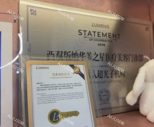 西双版纳华美之星整形资质