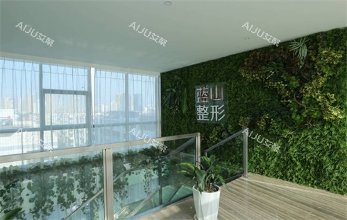 保定蓝山医疗美容医院顶楼环境