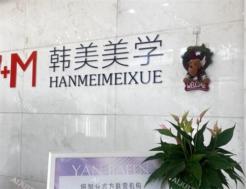杭州韩美整形logo