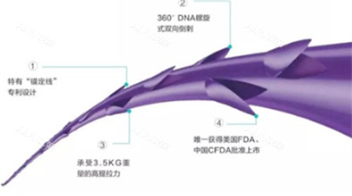 PPDO线示图