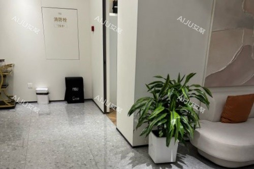 哈尔滨蜜柚整形内部环境