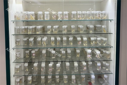 广州广大整形医院展柜