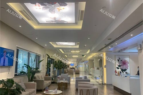 上海首尔 丽格医疗美容医院候诊区环境 上海首尔 丽格医疗美容医院候诊区环境